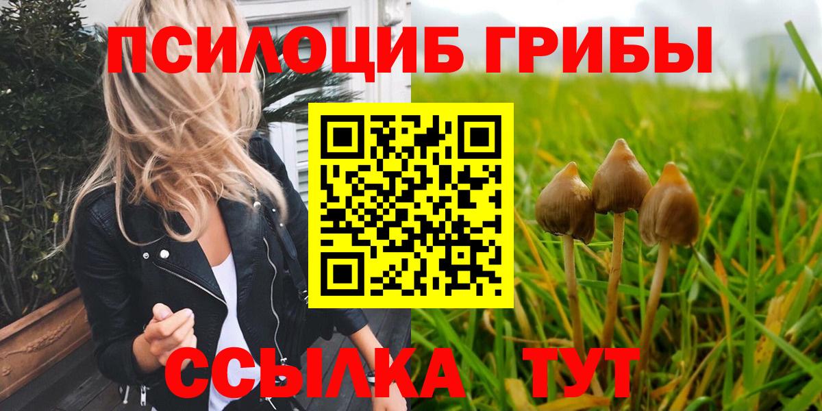 Чебаркуль  Псилоцибиновые грибы Psilocybine cubensis  сколько стоит  Вход с VPN  Галлюциногенные грибы GOLDEN TEACHER 